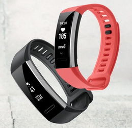 華為發(fā)布Band 2與Band 2 Pro智能手環(huán) VO2 max與TruSleep自動睡眠跟蹤引領(lǐng)健康監(jiān)測新體驗(yàn)